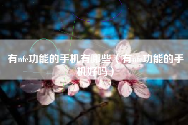 有nfc功能的手机有哪些（有nfc功能的手机好吗）