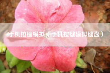 手机按键模拟（手机按键模拟键盘）