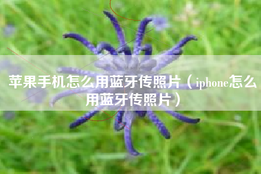 苹果手机怎么用蓝牙传照片（iphone怎么用蓝牙传照片）