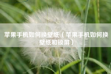 苹果手机如何换壁纸（苹果手机如何换壁纸和锁屏）