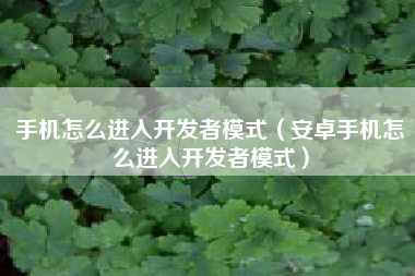 手机怎么进入开发者模式（安卓手机怎么进入开发者模式）