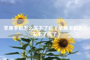 苹果手机怎么关不了机（苹果手机怎么关不了机了）