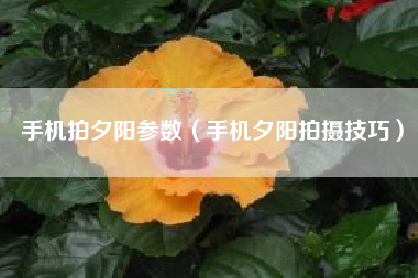 手机拍夕阳参数（手机夕阳拍摄技巧）