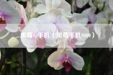 黑莓4g手机（黑莓手机9800）