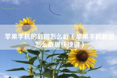 苹果手机的截图怎么截（苹果手机截图怎么截屏快捷键）