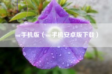 ssr手机版（ssr手机安卓版下载）