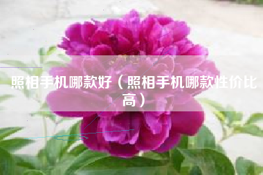 照相手机哪款好（照相手机哪款性价比高）
