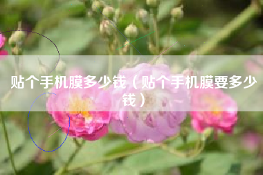 贴个手机膜多少钱（贴个手机膜要多少钱）
