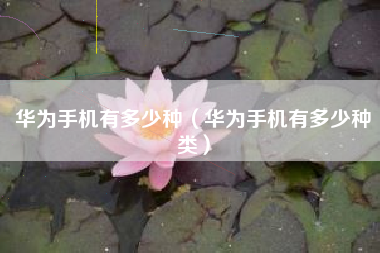 华为手机有多少种（华为手机有多少种类）