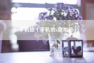 手机给（手机给u盘加密）