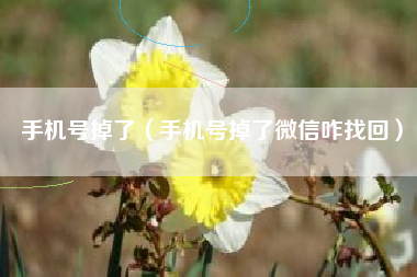 手机号掉了（手机号掉了微信咋找回）