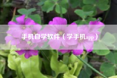 手机自学软件（学手机app）