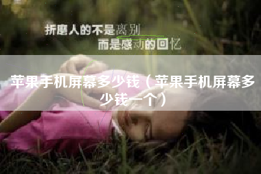 苹果手机屏幕多少钱（苹果手机屏幕多少钱一个）