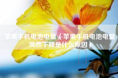 苹果手机电池电量（苹果手机电池电量突然下降是什么原因）