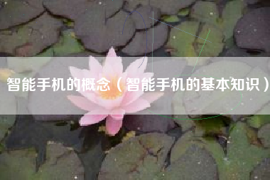 智能手机的概念（智能手机的基本知识）