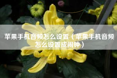 苹果手机音频怎么设置（苹果手机音频怎么设置成闹钟）