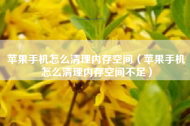 苹果手机怎么清理内存空间（苹果手机怎么清理内存空间不足）