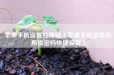 苹果手机设置应用锁（苹果手机设置应用锁密码快捷设置）
