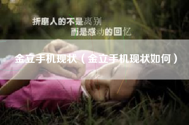 金立手机现状（金立手机现状如何）