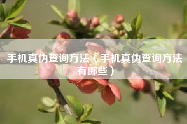 手机真伪查询方法（手机真伪查询方法有哪些）