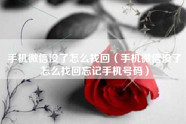 手机微信没了怎么找回（手机微信没了怎么找回忘记手机号码）
