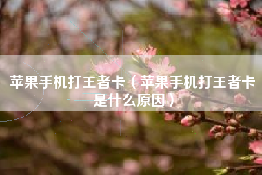 苹果手机打王者卡（苹果手机打王者卡是什么原因）