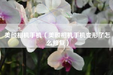 美颜相机手机（美颜相机手机变形了怎么修复）