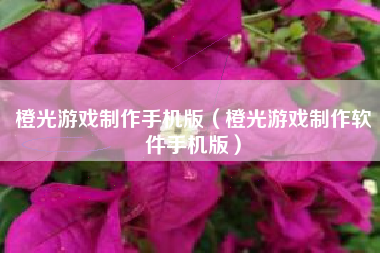 橙光游戏制作手机版（橙光游戏制作软件手机版）