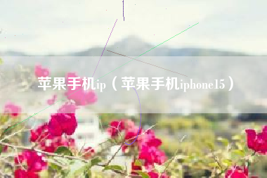 苹果手机ip（苹果手机iphone15）