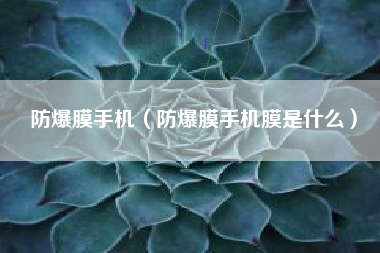 防爆膜手机（防爆膜手机膜是什么）