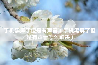 手机黑屏了但是有声音（手机黑屏了但是有声音怎么解决）