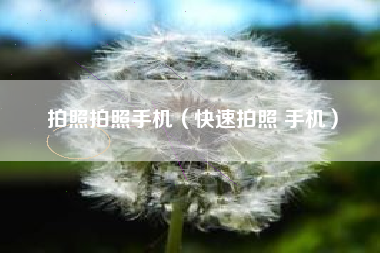 拍照拍照手机（快速拍照 手机）