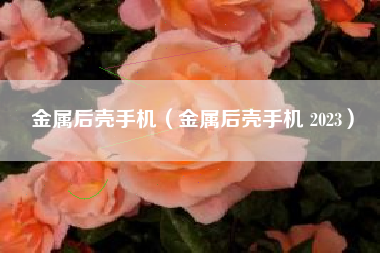 金属后壳手机（金属后壳手机 2023）
