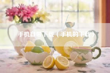 手机自带下载（手机的下载）