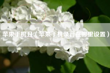 苹果手机丑（苹果手机录音在哪里设置）