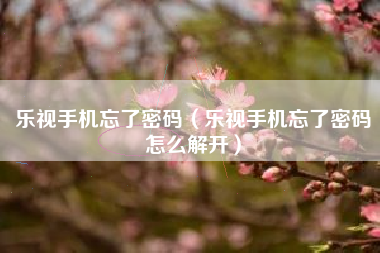乐视手机忘了密码（乐视手机忘了密码怎么解开）
