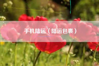 手机陆运（陆运包裹）