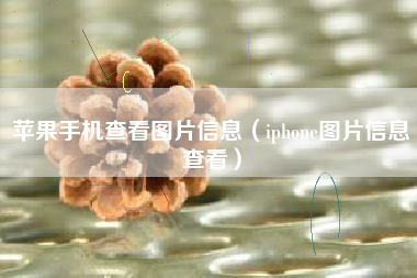 苹果手机查看图片信息（iphone图片信息查看）