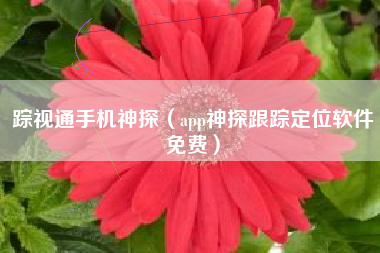 踪视通手机神探（app神探跟踪定位软件免费）