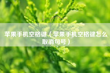 苹果手机空格键（苹果手机空格键怎么取消句号）