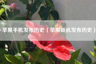 苹果手机发布历史（苹果新机发布历史）