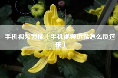 手机视频镜像（手机视频镜像怎么反过来）