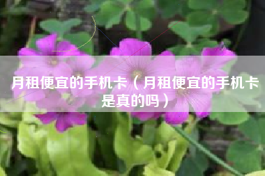 月租便宜的手机卡（月租便宜的手机卡是真的吗）