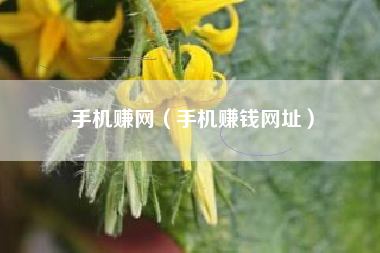 手机赚网（手机赚钱网址）