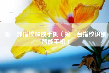 第一部指纹解锁手机（第一台指纹识别智能手机）