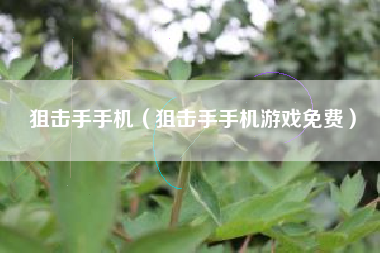 狙击手手机（狙击手手机游戏免费）