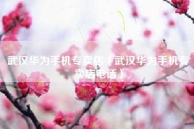 武汉华为手机专卖店（武汉华为手机专卖店电话）