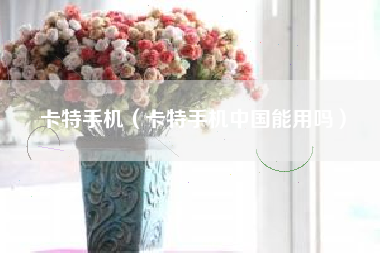 卡特手机（卡特手机中国能用吗）