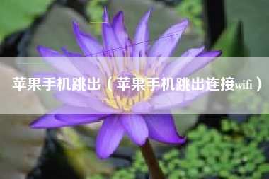 苹果手机跳出（苹果手机跳出连接wifi）