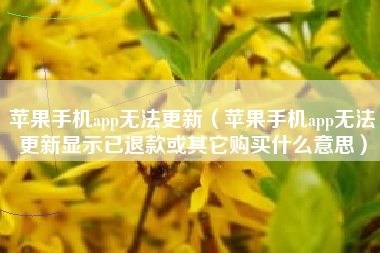 苹果手机app无法更新（苹果手机app无法更新显示已退款或其它购买什么意思）